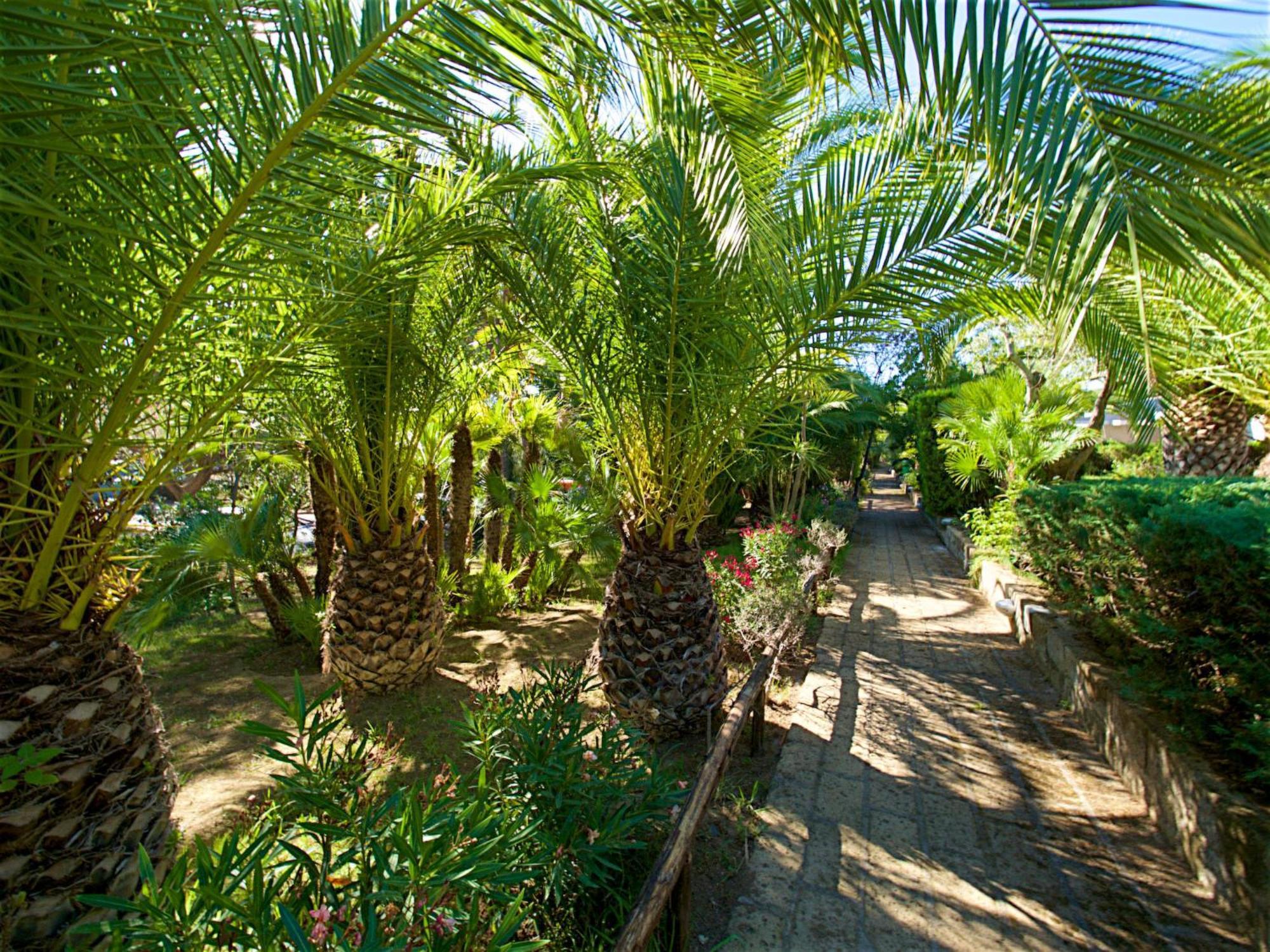 Holiday Home Twoo-Room Comfort By Interhome Castiglione della Pescaia Exterior photo