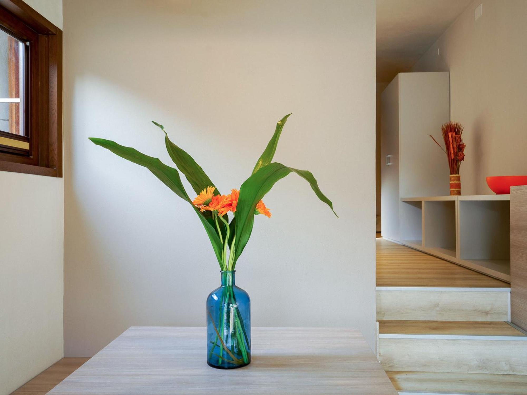 Holiday Home Twoo-Room Comfort By Interhome Castiglione della Pescaia Exterior photo